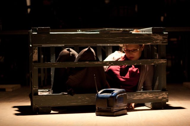 Julie in a crate, watching a portable TV through the slats