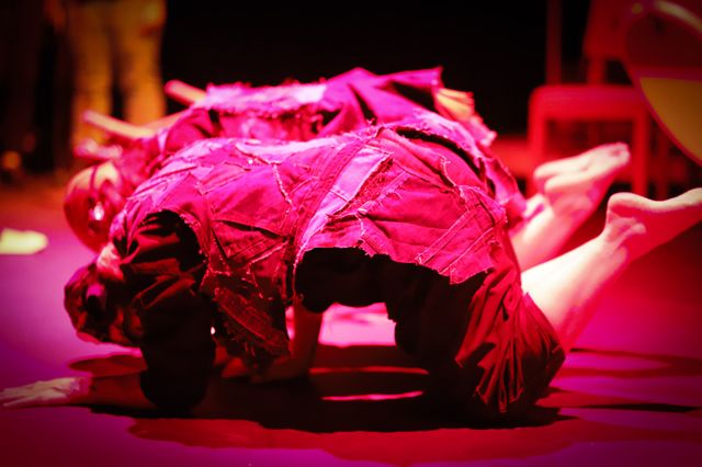 Two bower birds side-by-side on forearms and knees in saturated pink light